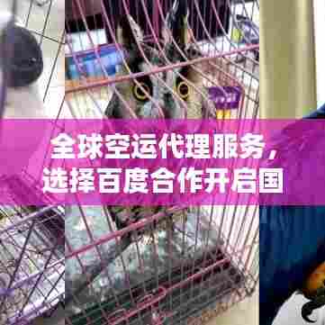 全球空运代理服务,选择百度合作开启国际物流新篇章