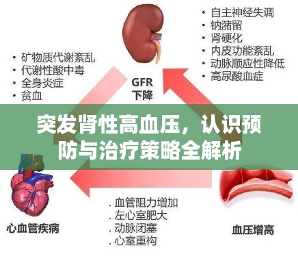 突发肾性高血压，认识预防与治疗策略全解析