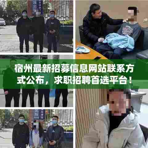 宿州最新招募信息网站联系方式公布,求职招聘首选平台!