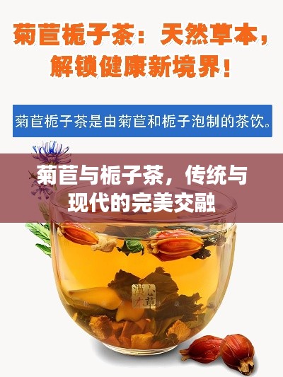 菊苣与栀子茶，传统与现代的完美交融