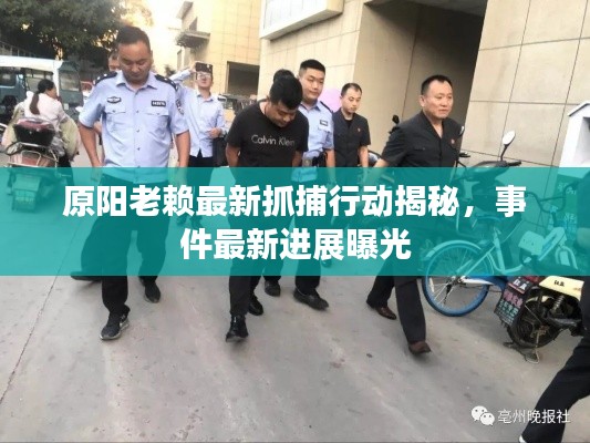 原阳老赖最新抓捕行动揭秘，事件最新进展曝光