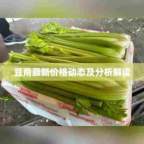 飞燕化龙 第6页