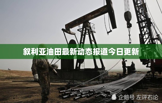 高不成低不就 第7页