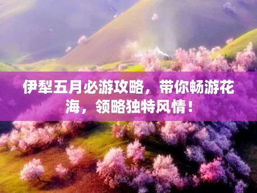伊犁五月必游攻略，带你畅游花海，领略独特风情！