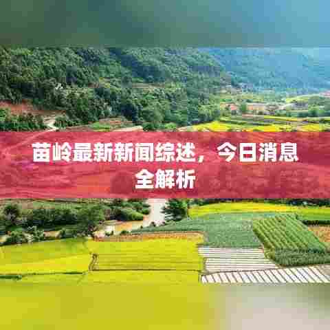 苗岭最新新闻综述，今日消息全解析