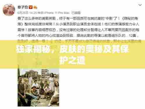 独家揭秘，皮肤的奥秘及其保护之道