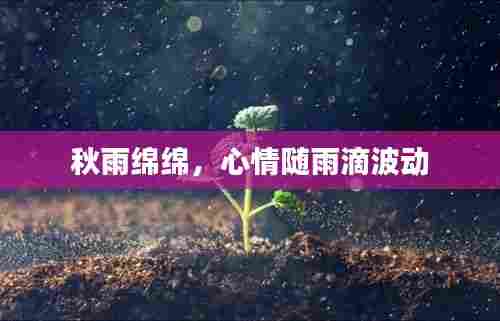 秋雨绵绵，心情随雨滴波动