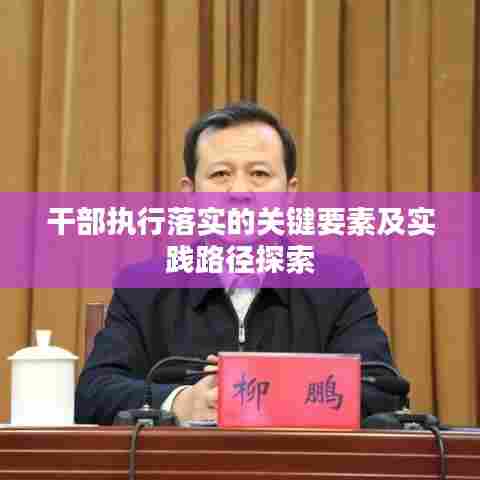 干部执行落实的关键要素及实践路径探索