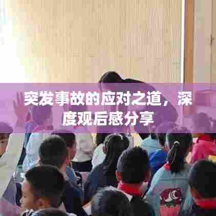 突发事故的应对之道，深度观后感分享