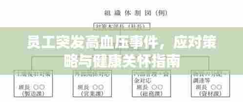 员工突发高血压事件，应对策略与健康关怀指南