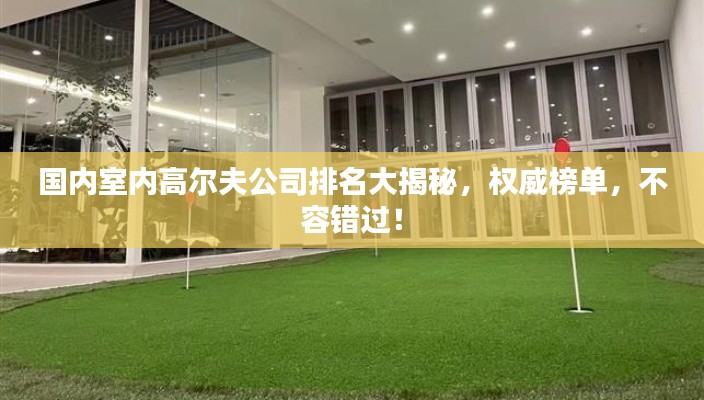 国内室内高尔夫公司排名大揭秘，权威榜单，不容错过！