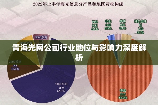 青海光网公司行业地位与影响力深度解析
