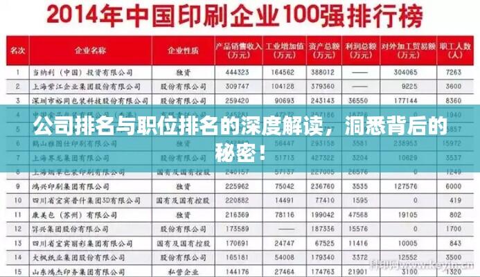 公司排名与职位排名的深度解读，洞悉背后的秘密！