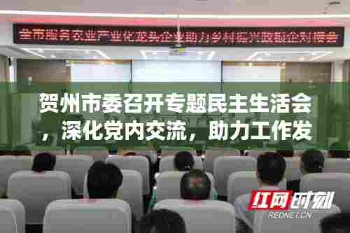 贺州市委召开专题民主生活会，深化党内交流，助力工作发展提速