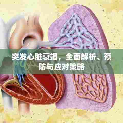 突发心脏衰竭，全面解析、预防与应对策略