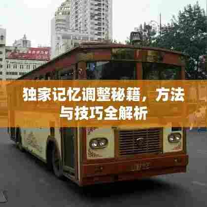 独家记忆调整秘籍，方法与技巧全解析