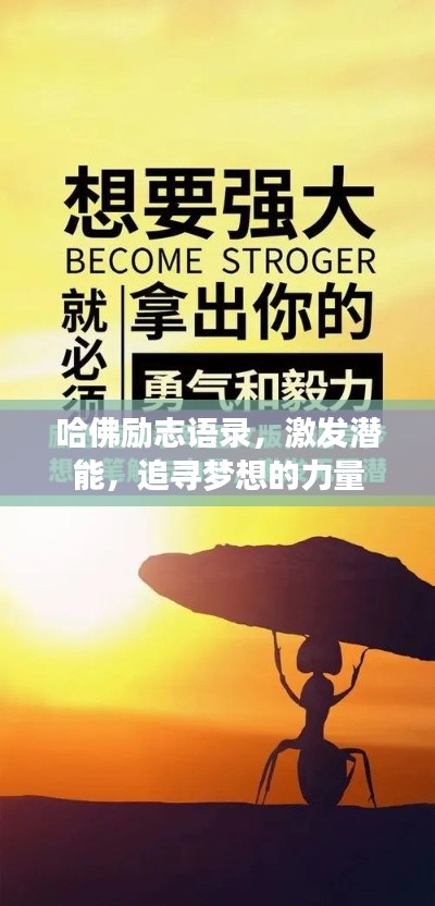 哈佛励志语录，激发潜能，追寻梦想的力量