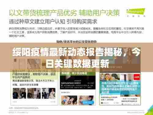 绥阳疫情最新动态报告揭秘，今日关键数据更新