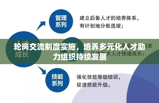 轮岗交流制度实施，培养多元化人才助力组织持续发展