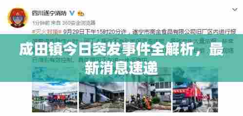 成田镇今日突发事件全解析，最新消息速递