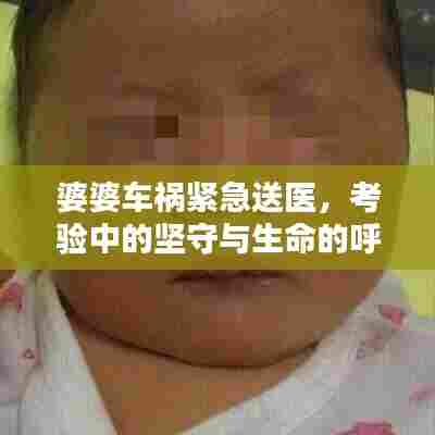 婆婆车祸紧急送医，考验中的坚守与生命的呼唤