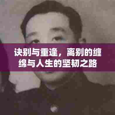 诀别与重逢，离别的缠绵与人生的坚韧之路