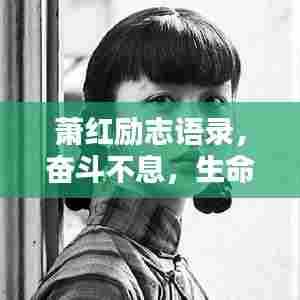 萧红励志语录，奋斗不息，生命绽放