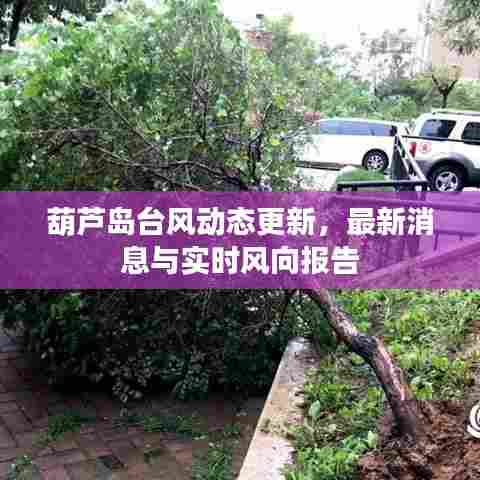 葫芦岛台风动态更新，最新消息与实时风向报告