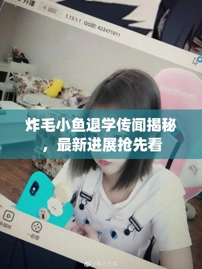 炸毛小鱼退学传闻揭秘，最新进展抢先看