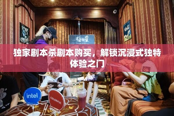 独家剧本杀剧本购买，解锁沉浸式独特体验之门