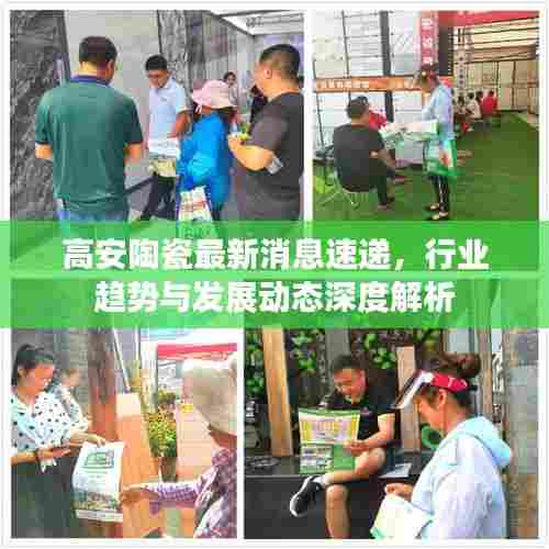 高安陶瓷最新消息速递，行业趋势与发展动态深度解析