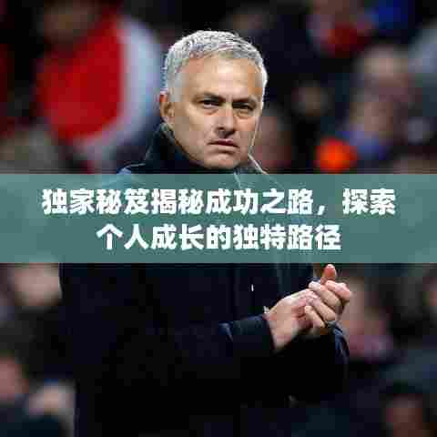 独家秘笈揭秘成功之路，探索个人成长的独特路径