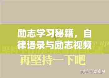 励志学习秘籍，自律语录与励志视频的无限能量源泉
