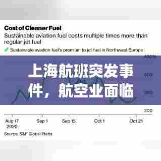 上海航班突发事件，航空业面临的挑战及应对策略