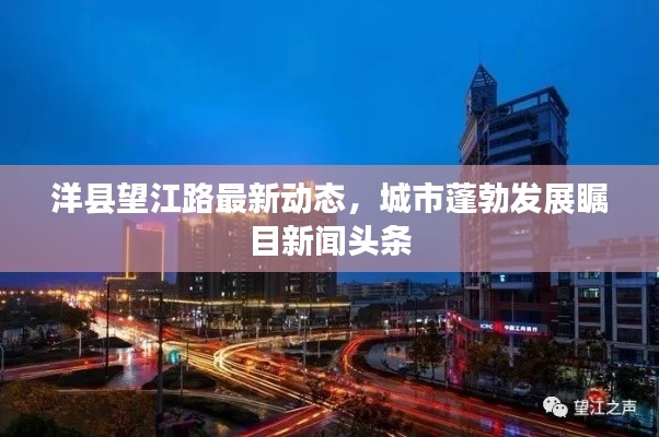 洋县望江路最新动态，城市蓬勃发展瞩目新闻头条