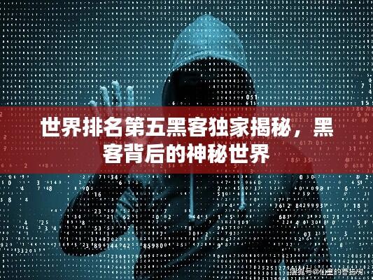 世界排名第五黑客独家揭秘，黑客背后的神秘世界