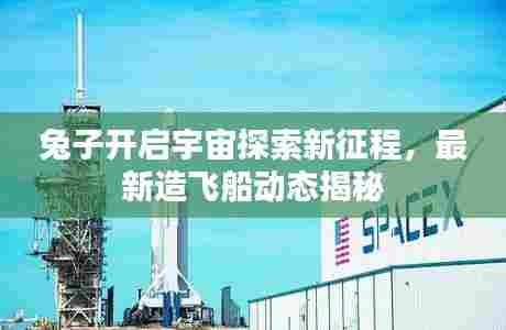 兔子开启宇宙探索新征程，最新造飞船动态揭秘