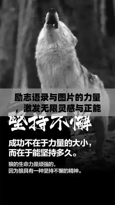 励志语录与图片的力量，激发无限灵感与正能量