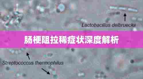 肠梗阻拉稀症状深度解析