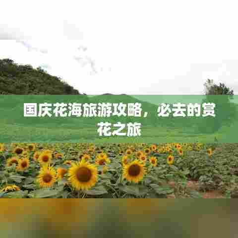 国庆花海旅游攻略，必去的赏花之旅