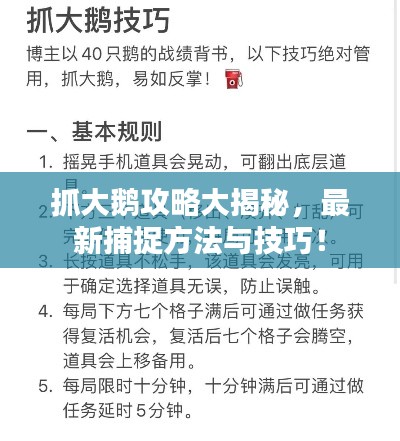 抓大鹅攻略大揭秘，最新捕捉方法与技巧！