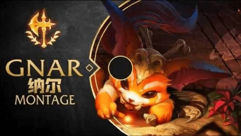 新版本纳尔,前沿说明解析-旗舰款_v4.394