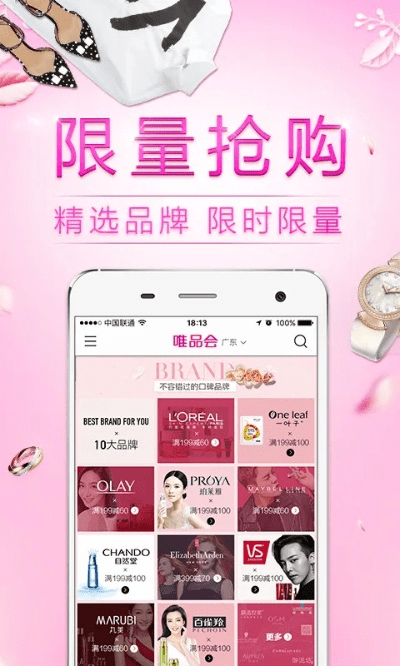 唯品网官方网站下载,快速解答计划设计 限量版_v6.879