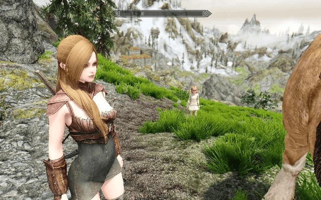 上古卷轴看版本,精细分析解释定义|FHD_v2.429