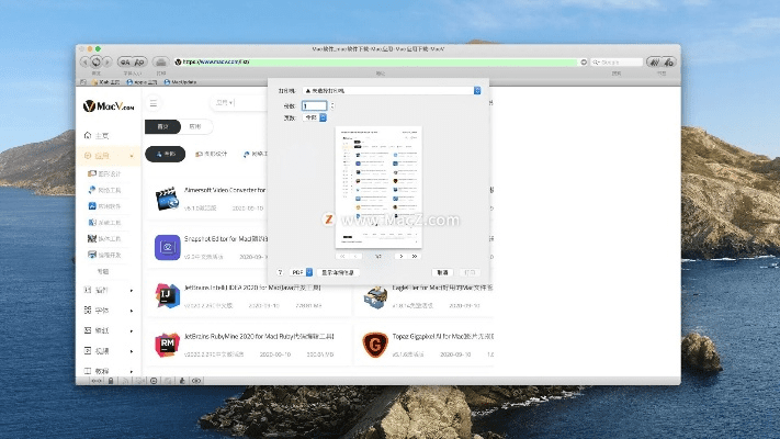 csonst官方下载,深入执行数据应用 macOS_v4.389